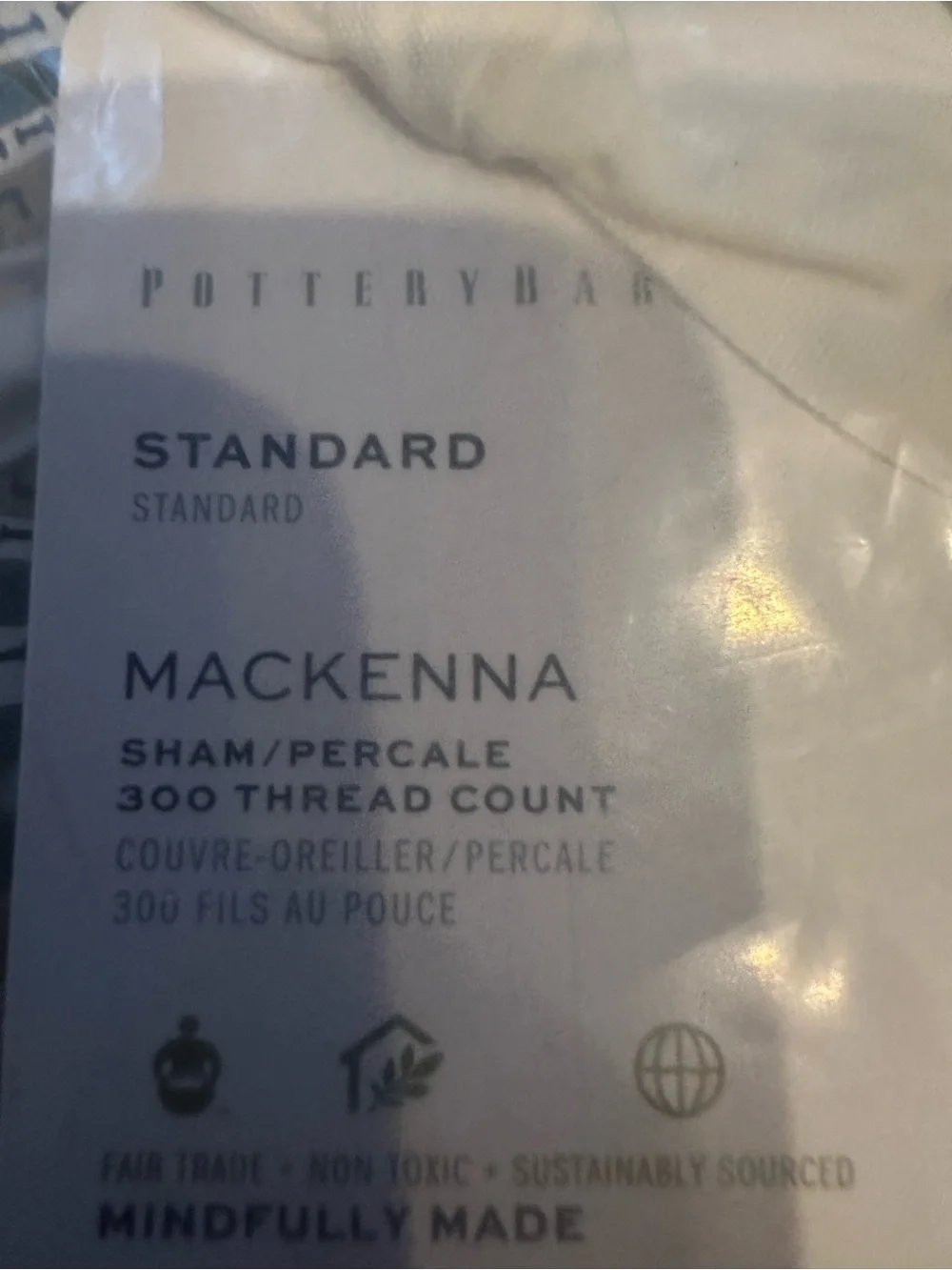 Pottery Barn McKenna Blue Paisley Standard Sham Organic Cotton